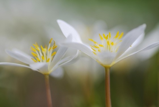    Erhard Nerger/imageBROKER.com/Global Look Press