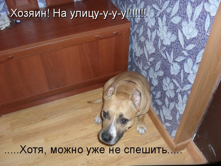 Источник: kotomatricy.