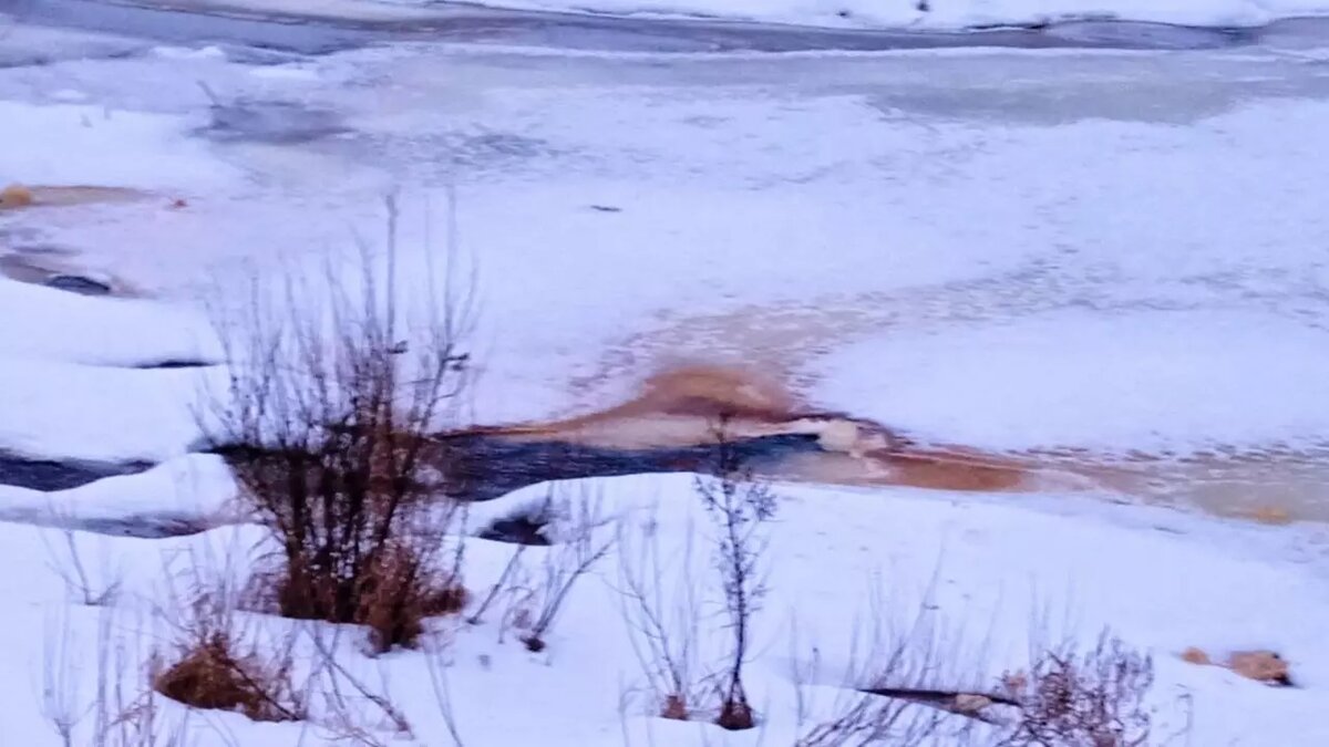     Источник: udm-info.ru