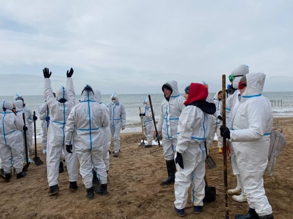 «Работа кажется бесконечной»: как нижегородские волонтёры спасают Чёрное море  📷
