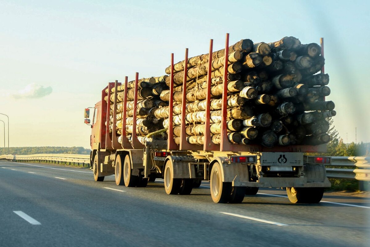 19 тыс. предприятий отрасли подключили к госинформсистеме свыше 35 тыс. единиц транспортных средств.  Фото: ФедералПресс / Елена Майорова