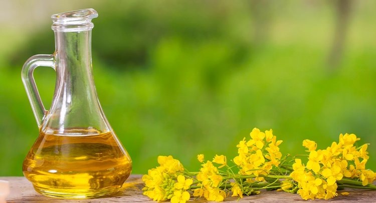    Рекордным производством рапса 2024 может похвалиться Сибирь