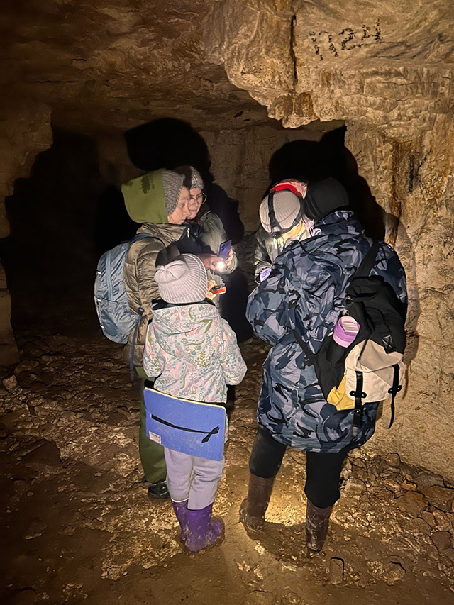 Аномальное тепло и туристы будят и губят летучих мышей в пещерах Тверской области