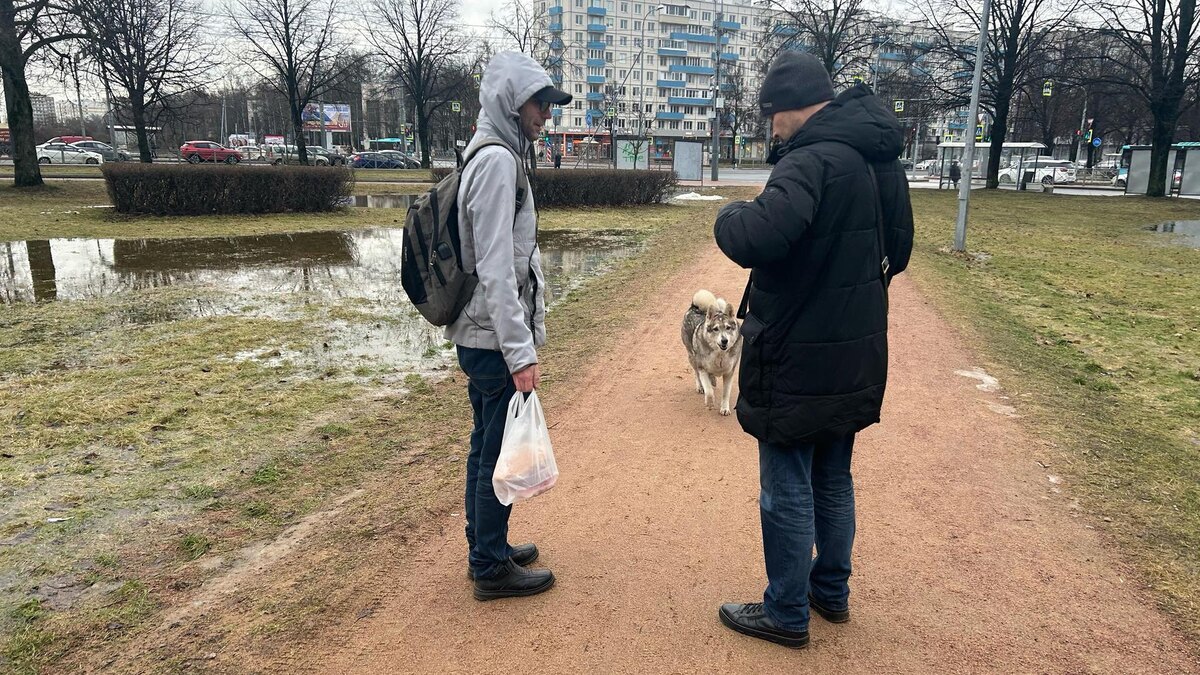    Фото: vk.com/kvzpb_official