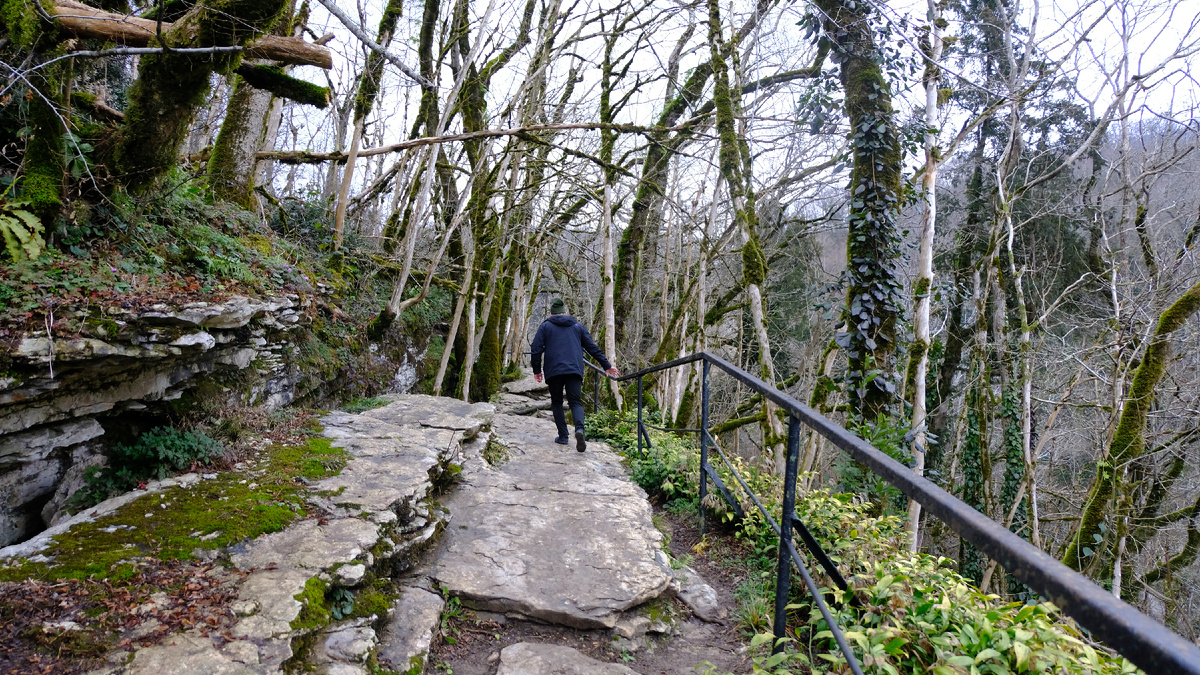  Виды, открывающиеся взору в Тисо-Самшитовой роще ! (Листаем галерею)