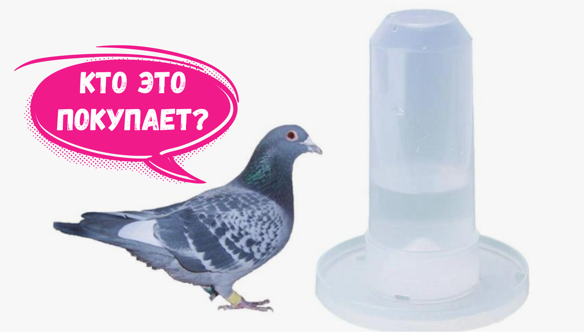 3 странных товара с Wildberries, которые лучше не видеть