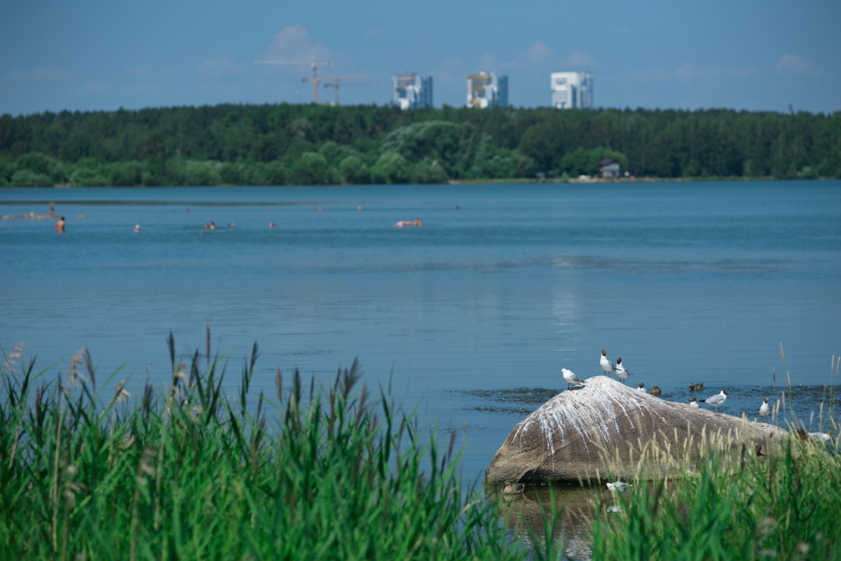 Жители мегаполисов понимают все плюсы водоема недалеко от дома