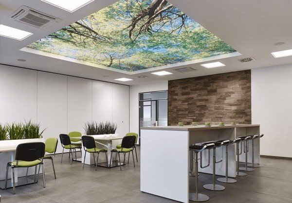    Натяжной потолок с фотопечатью в офисе