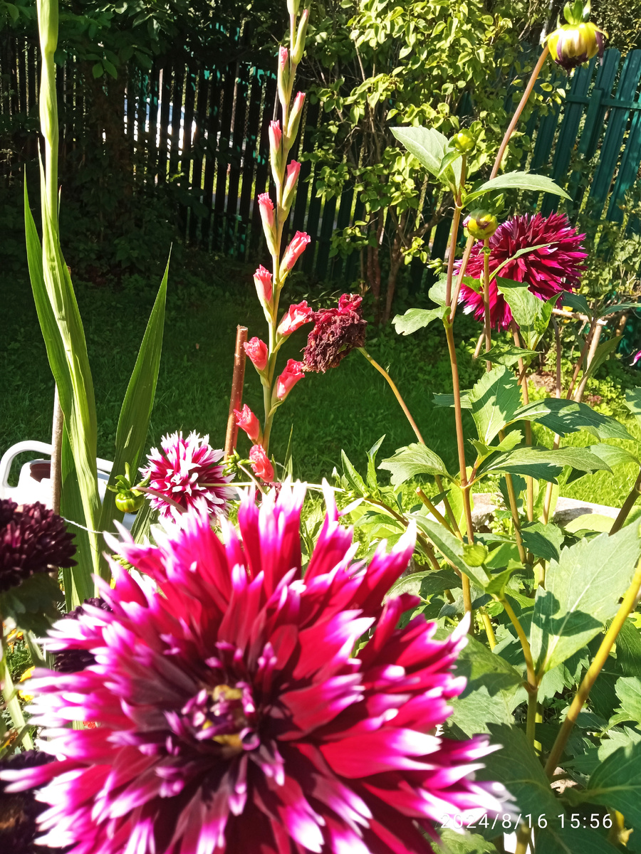 Фото автора.