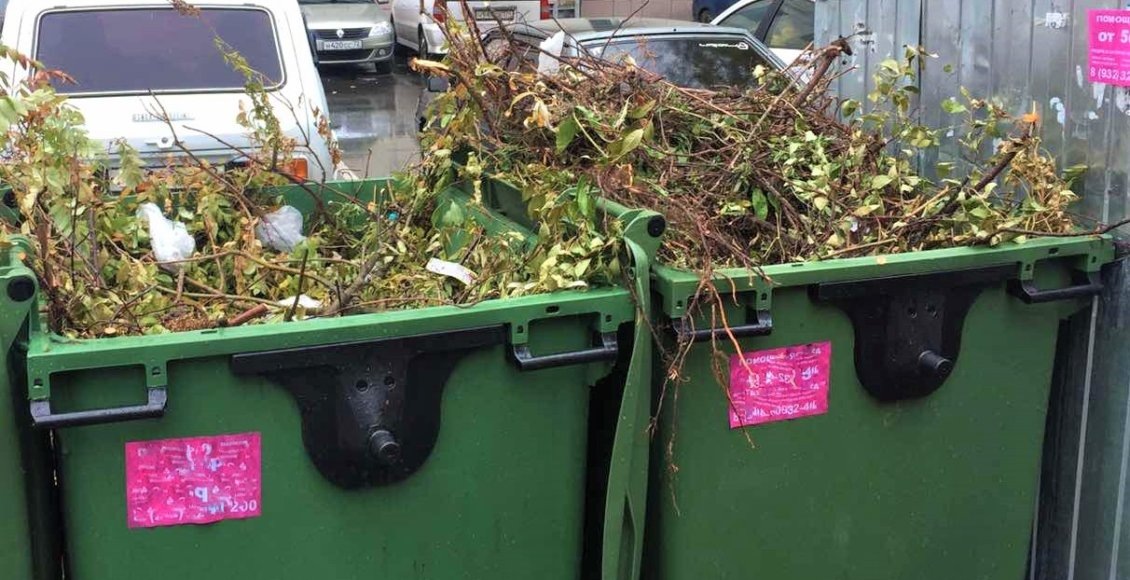    Фото: PR-служба Ассоциации «Чистая страна»