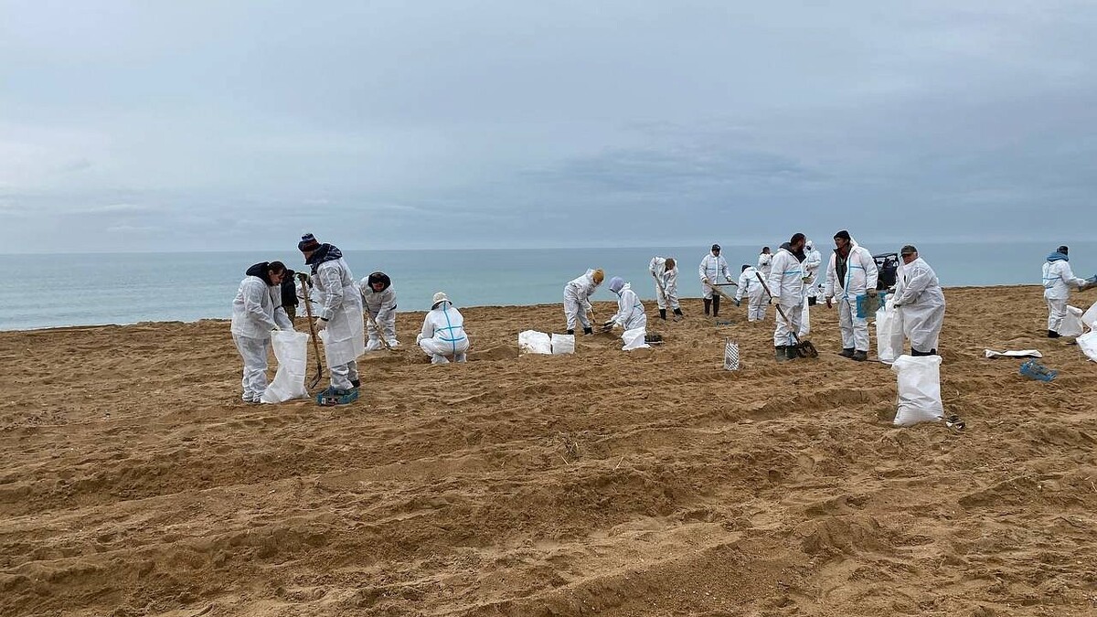    Фото: телеканал «Краснодар»