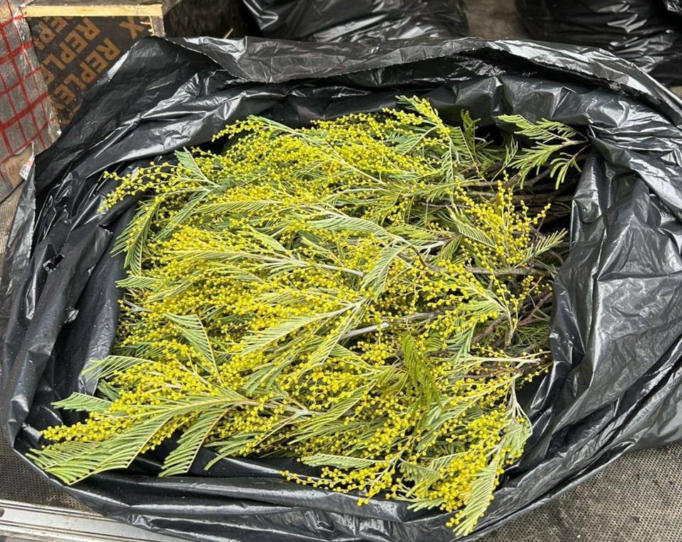    Фото: Telegram/Южное межрегиональное управление Россельхознадзора