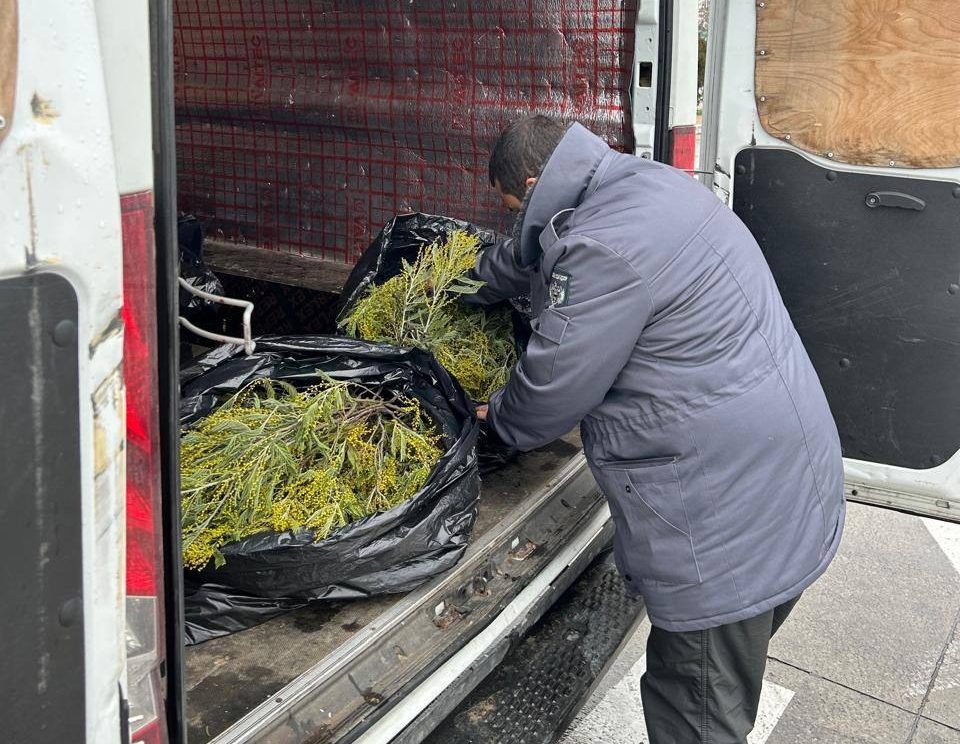    Фото: Telegram/Южное межрегиональное управление Россельхознадзора