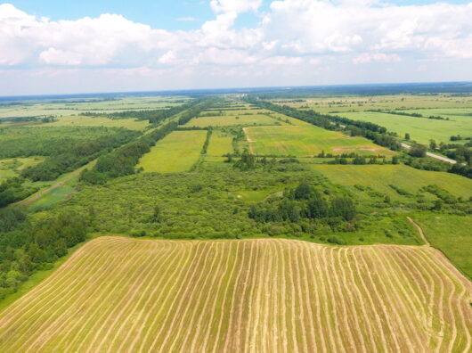    пашня // фото: landpie.ru