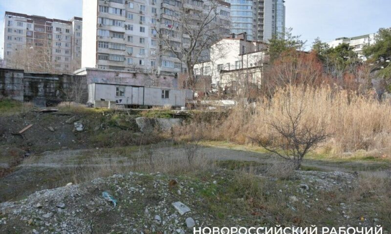    Фото t.me/novorab_official