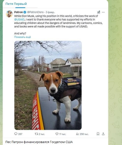    Фото: Скриншот Telegram/Петя Первый