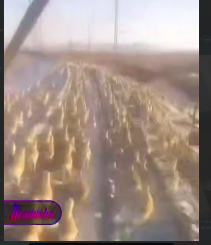    Фото: телеграм-канал Readovka