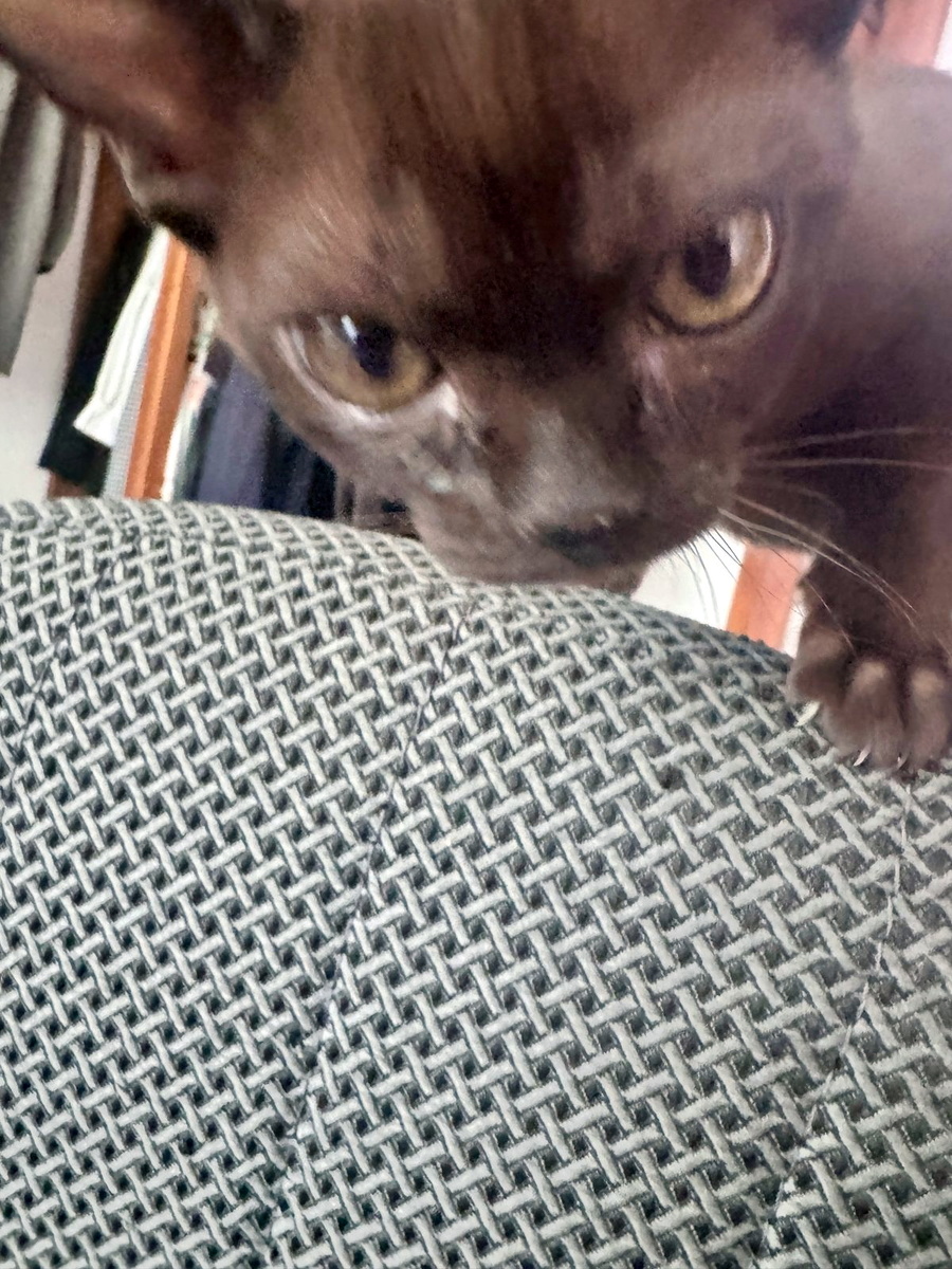 Телега есть? А если найду? А если найду, то почему не подписаны?