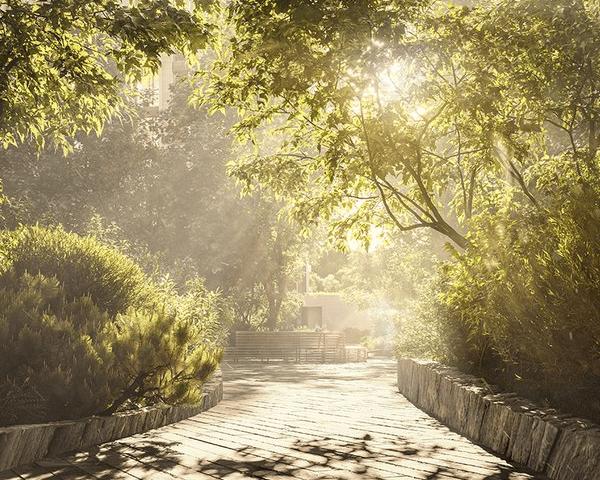 тенистые алеи превращают обычный двор в густой лес  