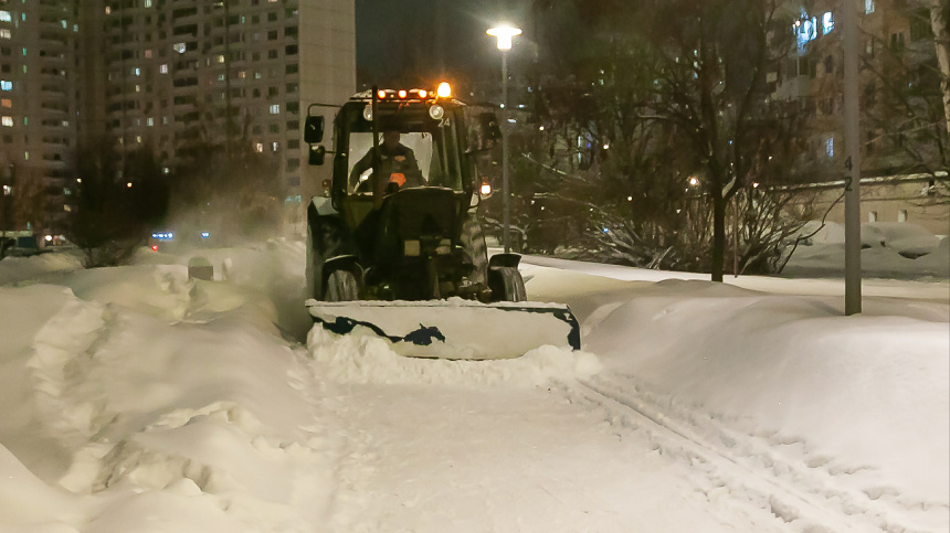    Фото: www.globallookpress.com/© Roman Denisov; 5-tv.ru