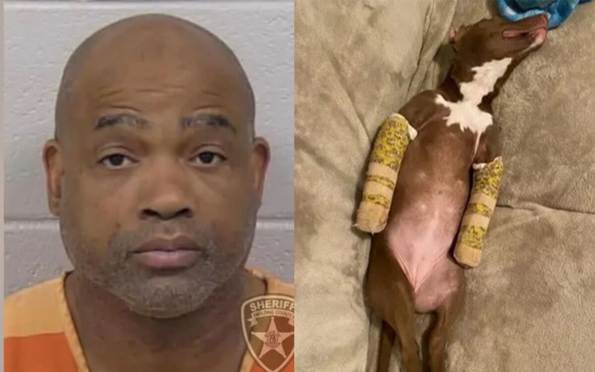    Обвиняемый Винсент Баррелл и Малыш Шарк после содержания в маленькой клетке / Источник: ©K. C. Pagnotta