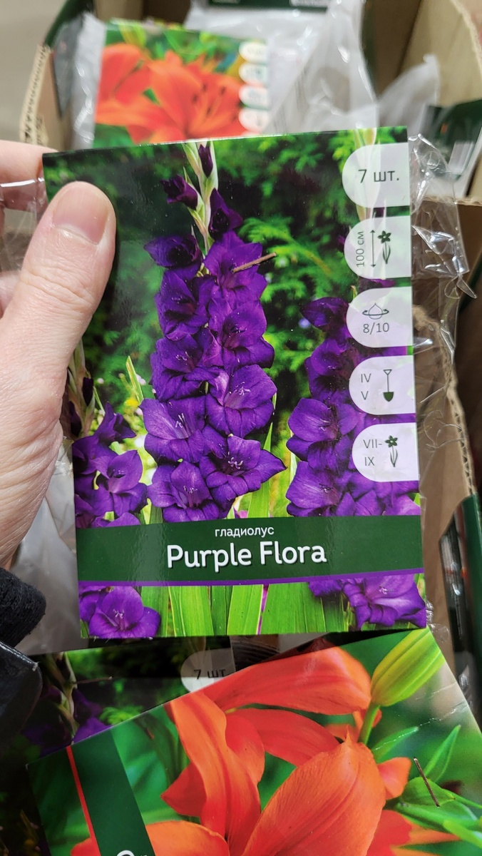 Галерея, листайте