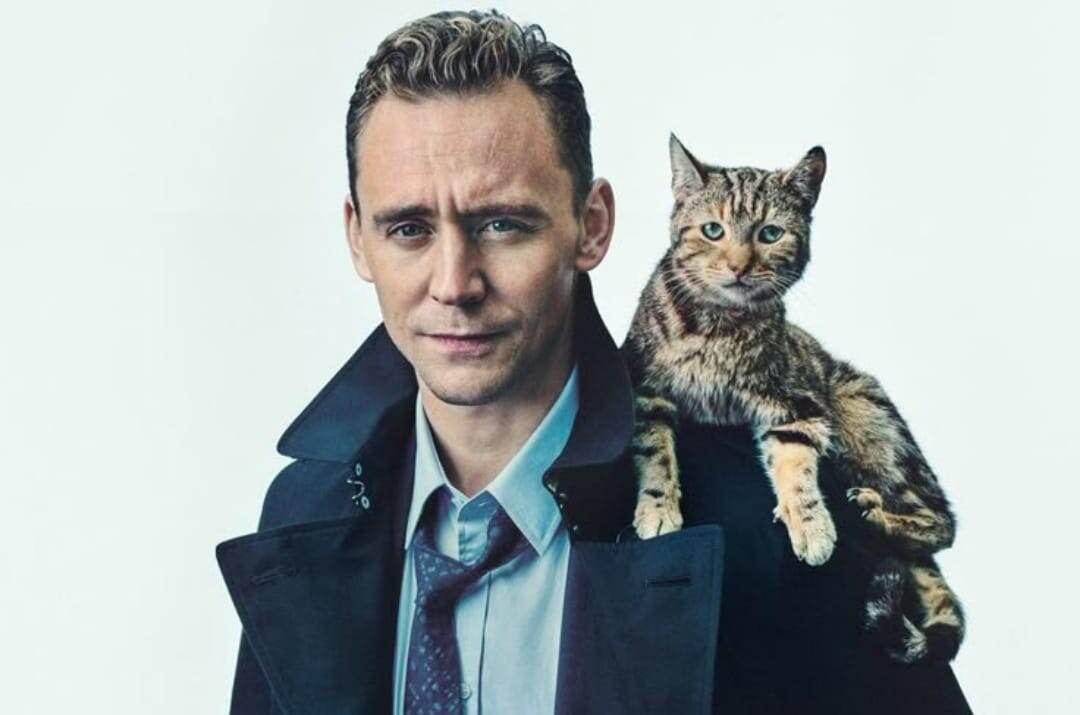 Фото взято из картинок Яндекс. Свободный доступ