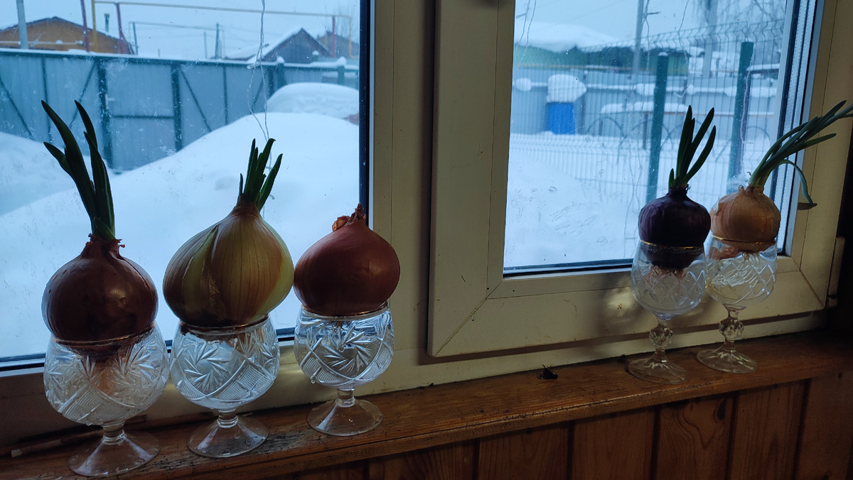 Хрустальная грядка