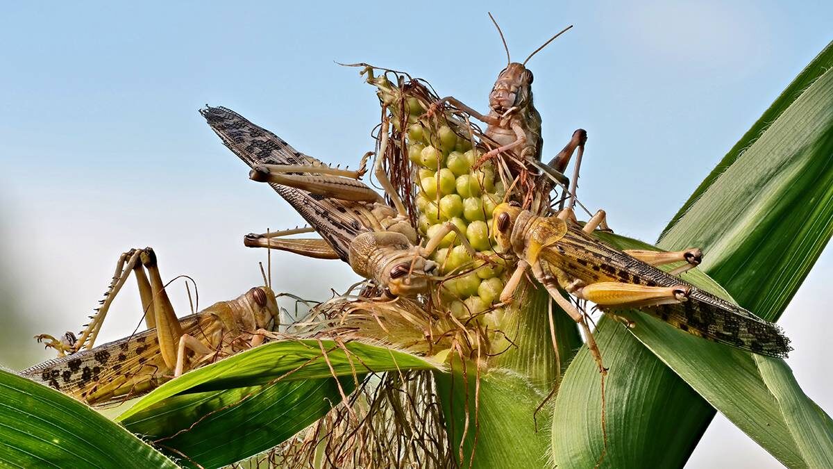    Фото: Shutterstock