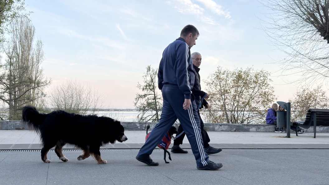    © Alexander Legky /Globallookpress