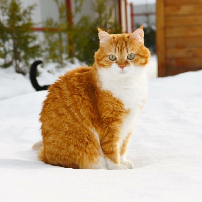 «Надо взять паузу... »