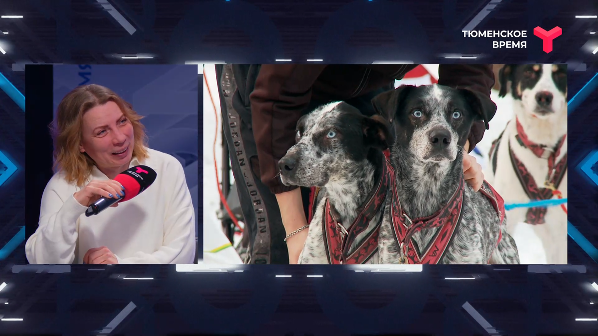 кадр из программы "Вечерний хэштег"