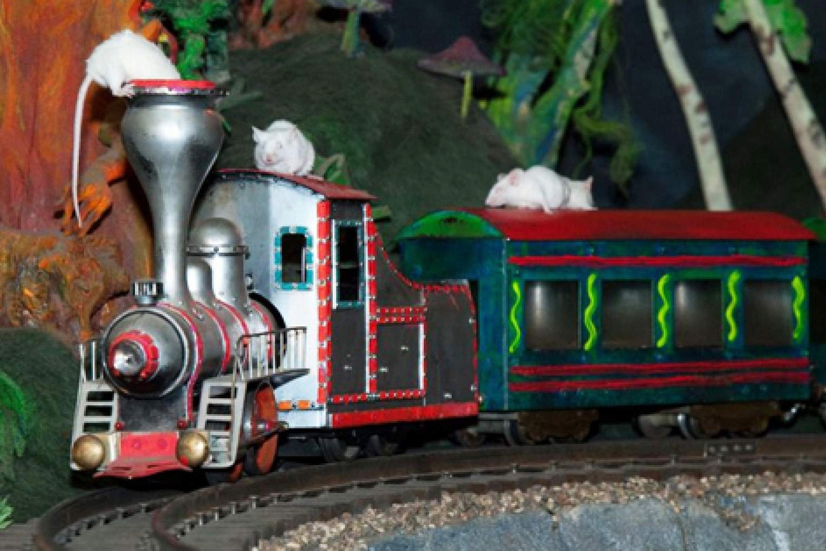 Момент спектакля «Однажды на Мышиной планете...» в Театре Дурова. Фотография с сайта www.afisha.ru