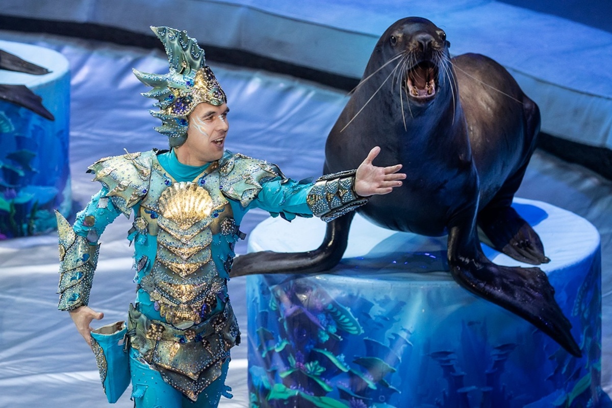 Фотография представления "Сказка о Золотой рыбке" с сайта www.greatcircus.ru/