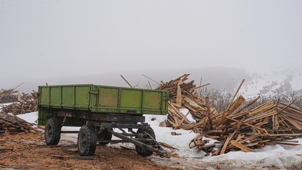 Светлана Мулыкина📷
