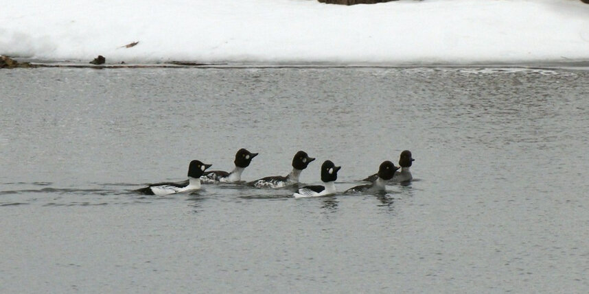    t.me/kazdoytvaripopare