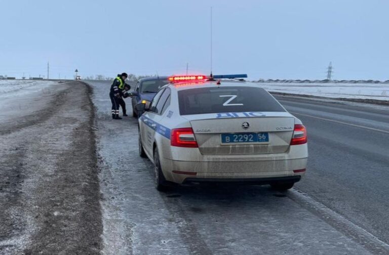    Автоинспектора Бузулука помогли водителю, у которого в мороз на дороге закончился бензин Марина Шарт
