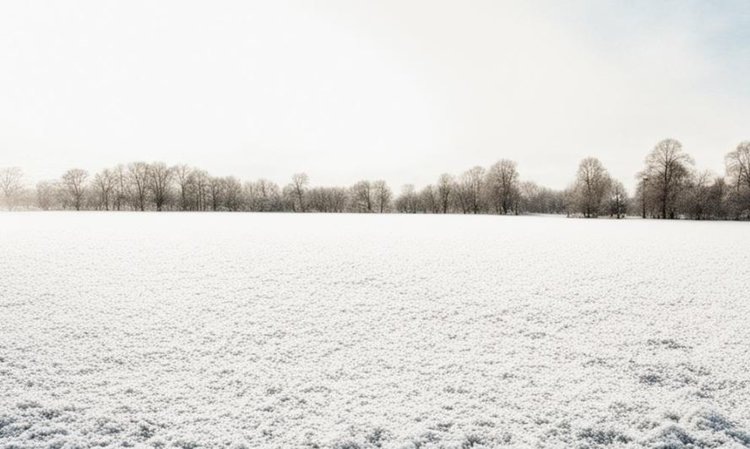    Какие регионы Нечерноземья оказались в малоснежной аномалии 2025