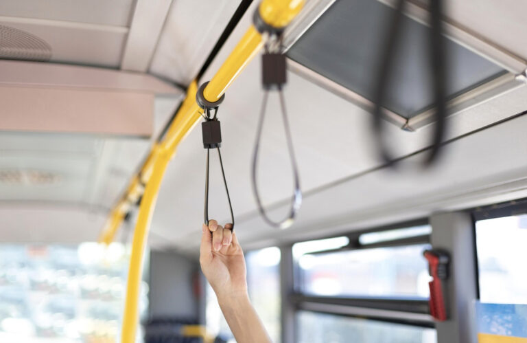    Фото: freepik.com/freepik Дмитрий Андреев