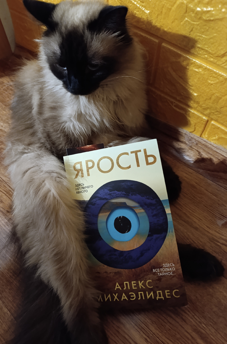 Книгу сегодня представляет Джессика, безуспешно пытающаяся скопировать любимую Дженькину позу для сидения.  