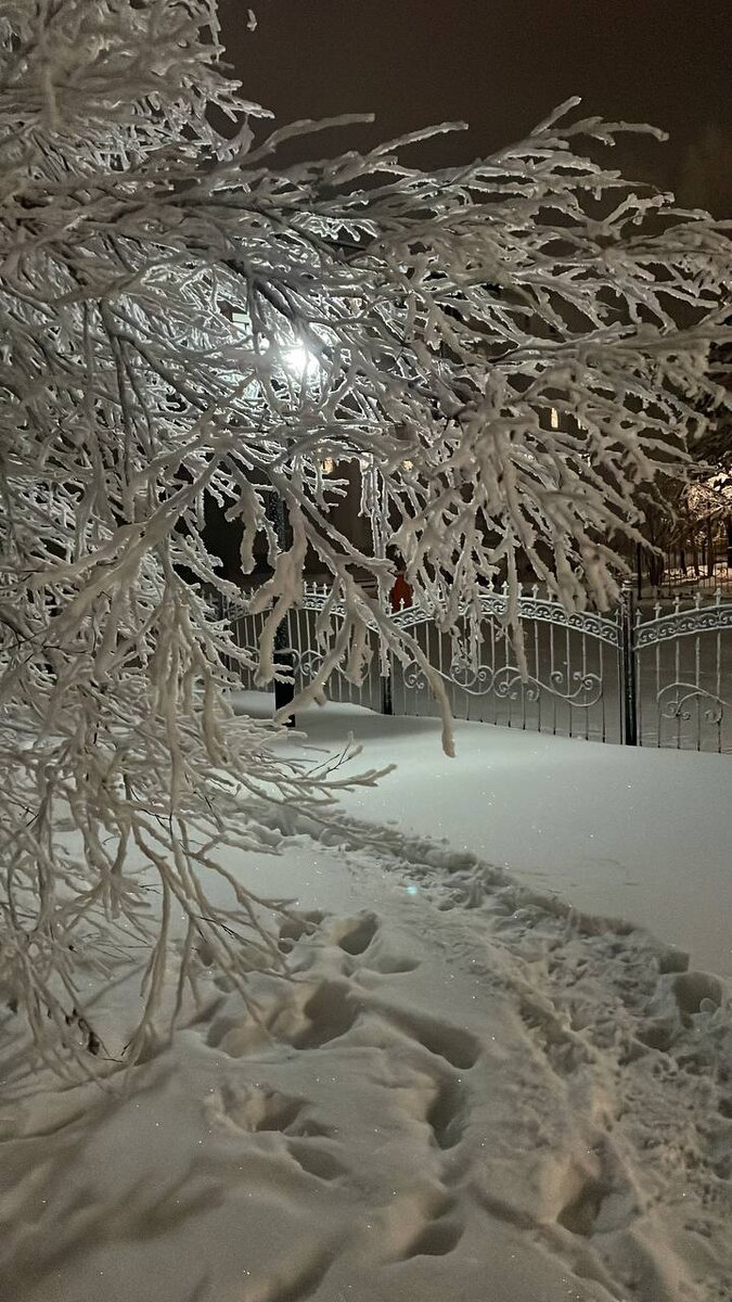 ХМАО-Югра (фото Наталия Бессарабец)