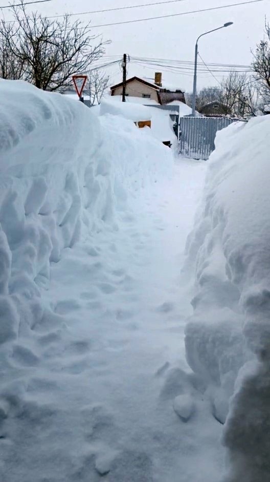 А это фото с Сахалина. Там сейчас хозяйничает Эль-Ниньо, присылая циклон за циклоном.