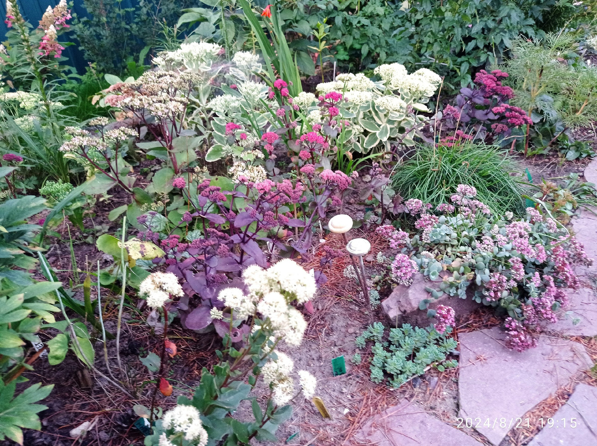 Почти здесь же.