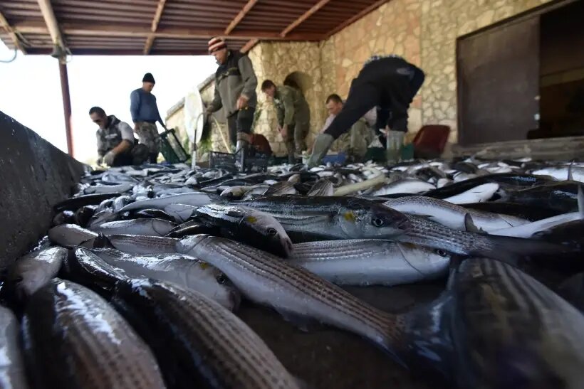     © РИА Новости. Александр Полегенько