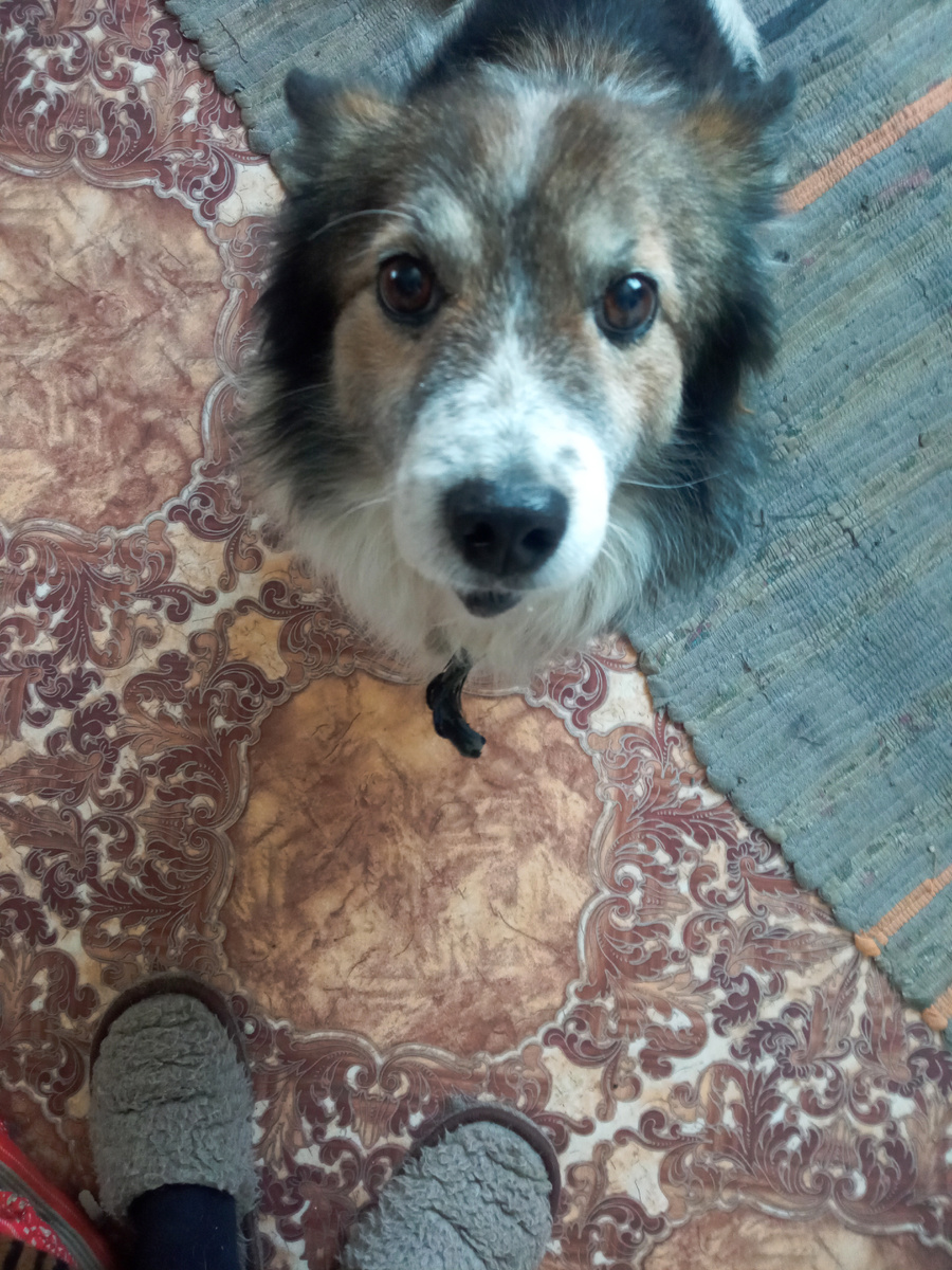 Как можно его обидеть? Только любить.