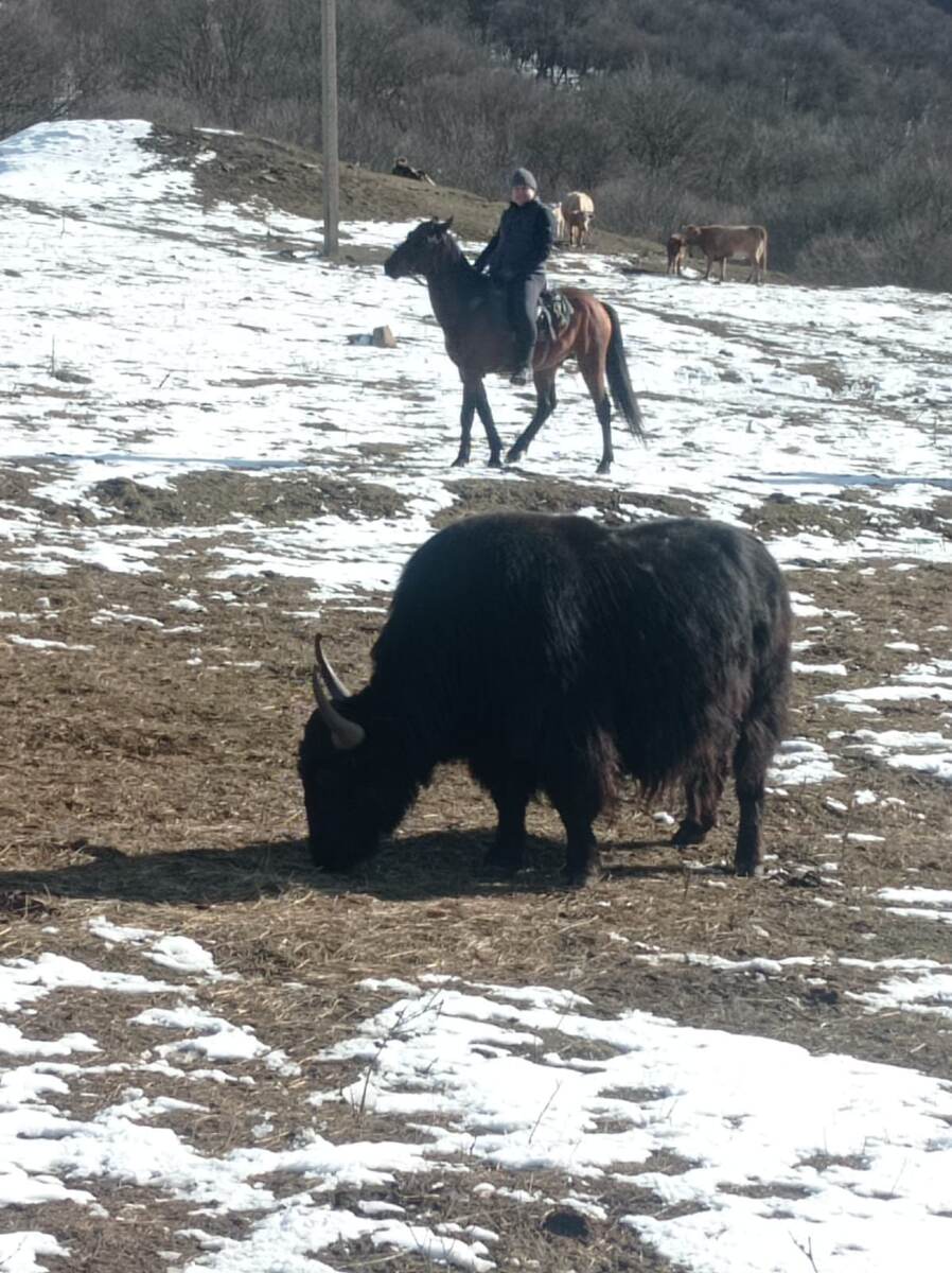 Держимся на расстоянии