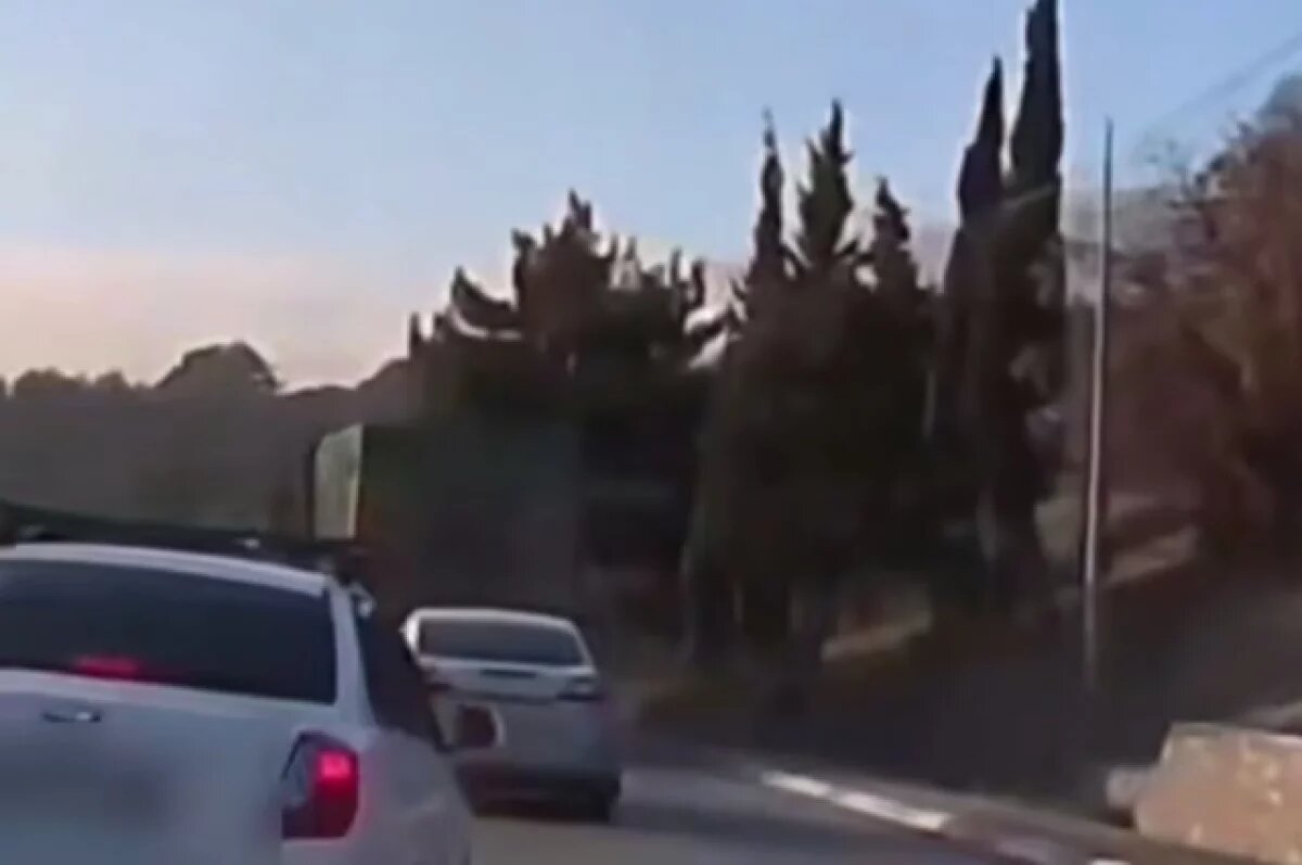    В Ялте сотрудники полиции привлекли к ответственности нарушителя ПДД