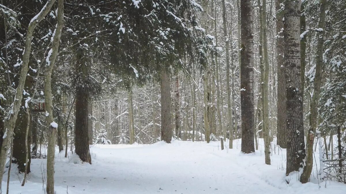     Источник: 1MI