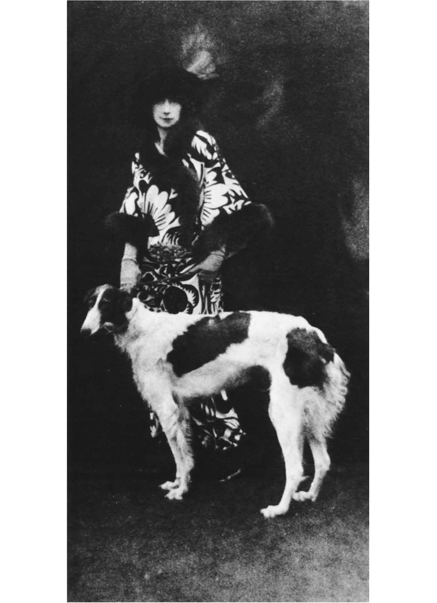 Ольга де Мейер, фотография барона де Мейера. Профессиональная красавица, которая, как говорят, является внебрачной дочерью принца Уэльского и Бланш, герцогини Карачиоллы, Ольга Альберта познакомилась с Адольфом Мейером в 1897 году и вышла за него замуж в 1899 году. Эта авантюрная пара входила в «круг» принца Уэльского; Эдуард даровал титул де Мейеру, чтобы он и его жена могли сидеть в королевской ложе во время его коронации. 