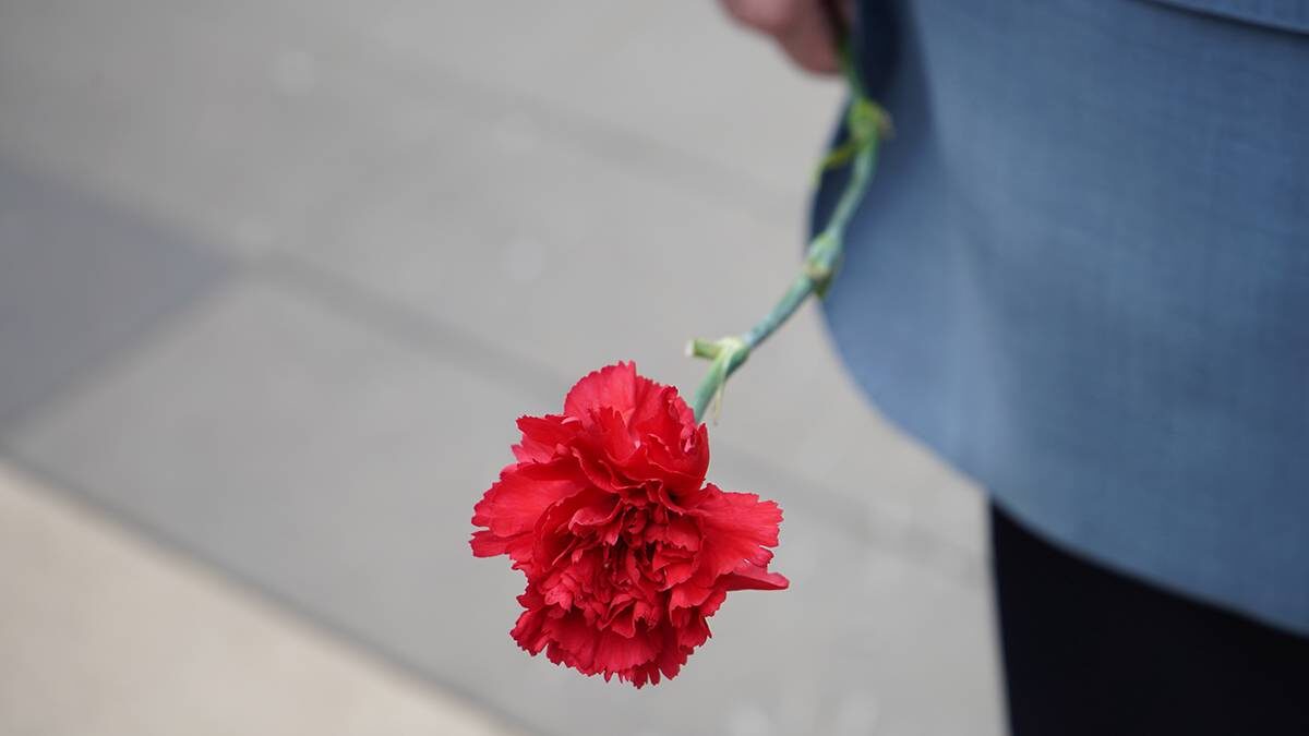    Фото: Анна Быкова / Вечерняя Москва